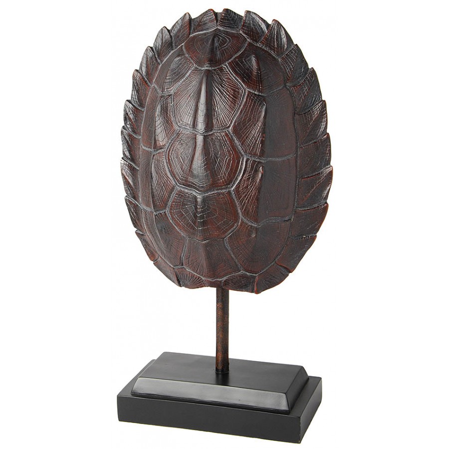 Picture of TURTLE SHELL ON STAND